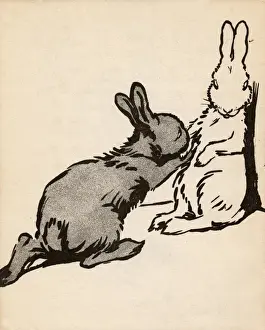 Illustration by Cecil Aldin, White Rabbit