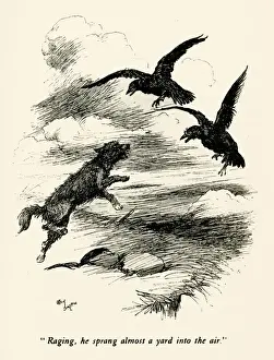 Bark Prints: Illustration by Cecil Aldin, The Wild Horses of Iceland