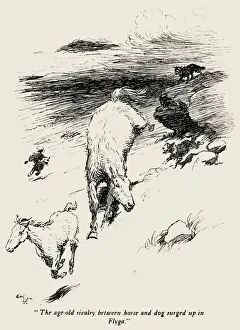 Illustration by Cecil Aldin, The Wild Horses of Iceland