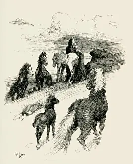 Illustration by Cecil Aldin, The Wild Horses of Iceland