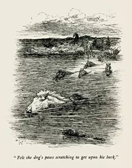 Illustration by Cecil Aldin, The Wild Horses of Iceland