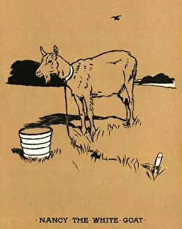 Illustration, Cecil Aldins Painting Books, Our Animals