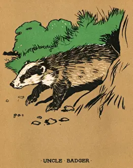 Illustration, Cecil Aldins Painting Books, Our Animals