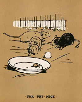 Illustration, Cecil Aldins Painting Books, Our Animals