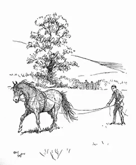 Jerry Prints: Illustration, driving a pony on long reins
