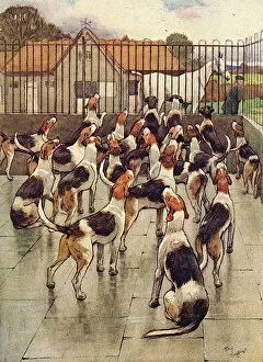 Illustration, foxhounds howling in chorus