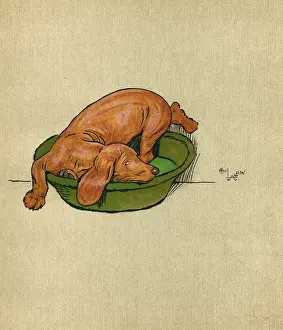 Illustration, Merry and Bright, by Cecil Aldin
