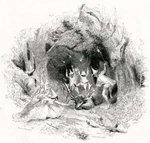 Illustration, Merry Wives of Windsor, William Shakespeare