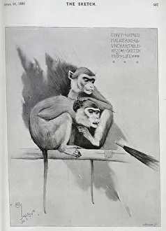 Frightened Prints: Illustration of monkeys, pointed by an umbrella, Cecil Aldin