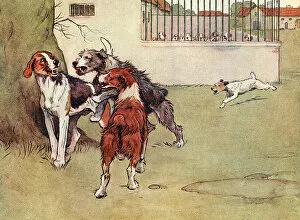 Fierce Collection: Illustration, Peter, the fox terrier, with three big dogs
