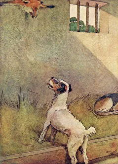 Adult Collection: Illustration, Peter looks up at White-Ear's skin