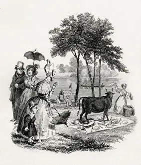 Picnic Prints: Illustration, A Picnic