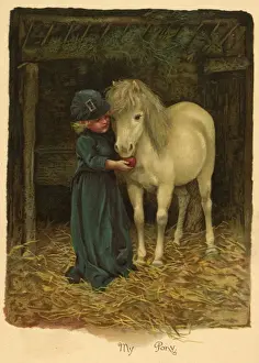 Harriett Prints: Illustration, My Pony