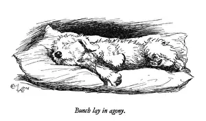 Illustration of a Sealyham terrier by Cecil Aldin
