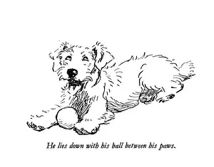 Illustration of a Sealyham terrier by Cecil Aldin