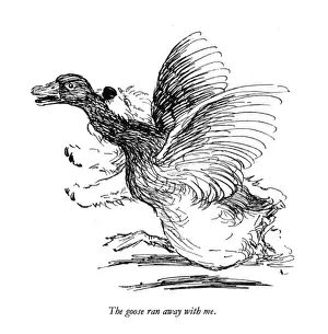 Illustration of a Sealyham terrier by Cecil Aldin