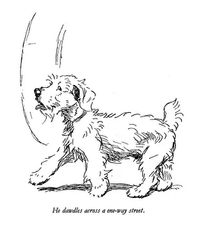 Defying Prints: Illustration of a Sealyham terrier by Cecil Aldin