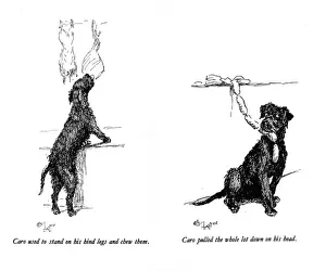 Misbehaving Prints: Illustrations of a black dog by Cecil Aldin