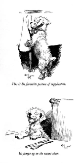 Hoping Gallery: Illustrations of a Sealyham terrier by Cecil Aldin