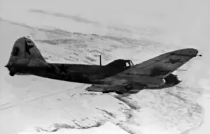 Ilyushin Prints: Ilyushin Il-2-this single-seat early version was vulner