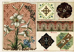 Ernst Guillot Prints: Images of lily, forget-me-not and olive from manuscripts
