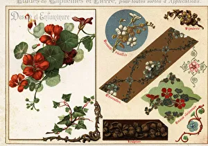 Ernst Guillot Prints: Images of nasturtium and ivy from manuscripts and their applicat