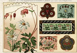 Ernst Guillot Prints: Images of oxeye daisies, bleeding hearts and holly from manuscri