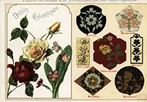 Ernst Guillot Prints: Images of roses and primula from manuscripts and their applicati
