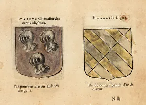 Imaginary coats of arms of Ancient Knight of the hollow deeps an