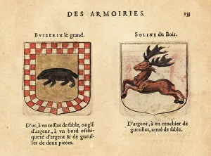 Checkerboard Prints: Imaginary coats of arms of Busterine the Great and Soline of