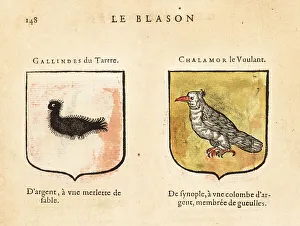 Blackbird Prints: Imaginary coats of arms of Galindes of the Hillock and Chalamor