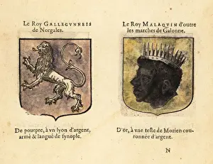 Imaginary Prints: Imaginary coats of arms of King Galegantis of Norway and King Ma