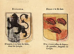 Imaginary coats of arms of Knights of the Round Table: Dinadan a