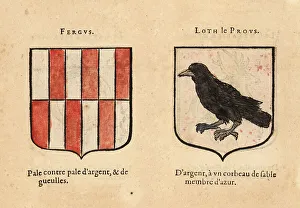 Imaginary Prints: Imaginary coats of arms of Knights of the Round Table: Fergus an