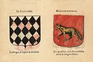Imaginary Prints: Imaginary coats of arms of Knights of the Round Table: Le Laid H