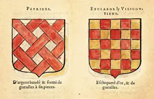 Checkerboard Prints: Imaginary coats of arms of Knights of the Round Table: Patrides
