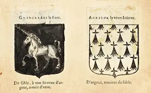 Black Field Prints: Imaginary coats of arms of Sir Gingalain and Agrior the Old Game