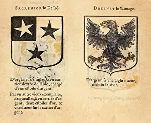 Imaginary Prints: Imaginary coats of arms of Sir Sagramore the Hothead and Sir Dod