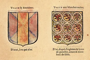 Imaginary Prints: Imaginary coats of arms of Yvain the Bastard and Ywain with
