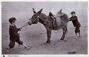 Move Collection: Immovable - 2 young boys fail to get a beach donkey to move