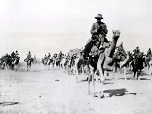 Desert Collection: Imperial Camel Corps Brigade, Beersheba, WW1