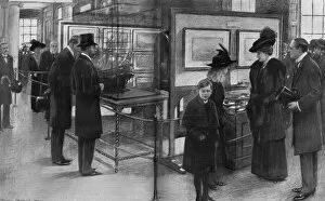 Museums Collection: Inauguration of the London Museum at Kensington Palace, 1912
