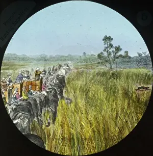 India - Big Game Hunting