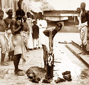 Goats Collection: India - Calcutta - Sacrificing a goat early 1900s