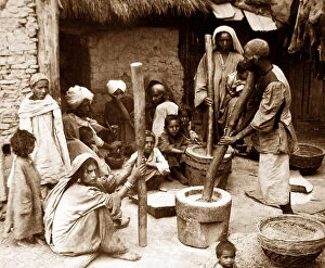 Shelling Collection: India - Cashmere shelling rice early 1900s