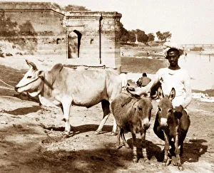 India - Cawnpore early 1900s