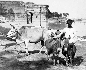 India - Cawnpore early 1900s