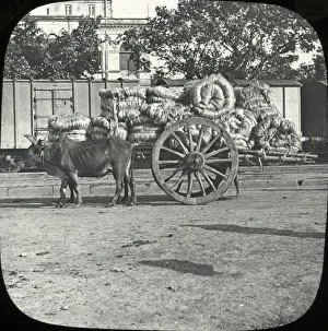 Heavily Prints: India - Country Cart