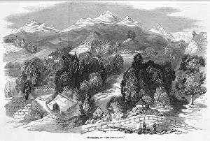 India Darjeeling