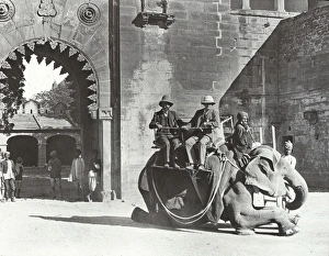 Accompany Gallery: India - Elephant travelling - the start, Gwalior